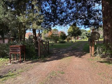 place photo 31