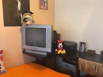 place photo 8