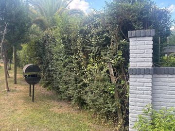place photo 32