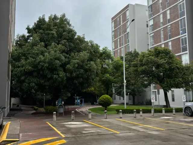 place photo 19