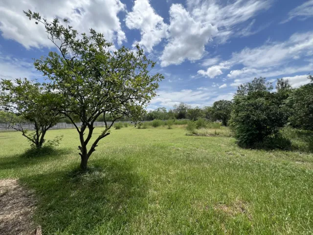 place photo 31