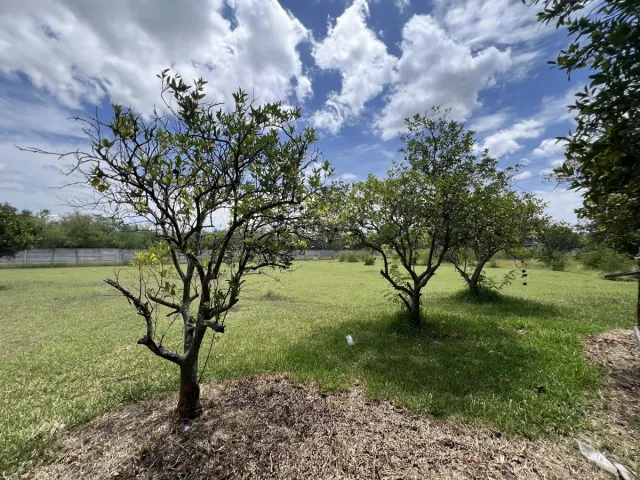 place photo 30