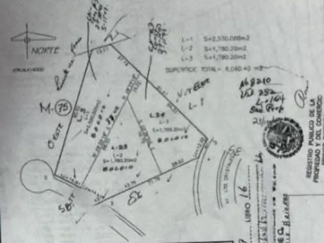 place photo 4