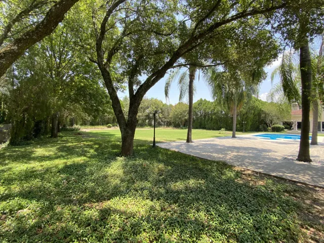 place photo 44