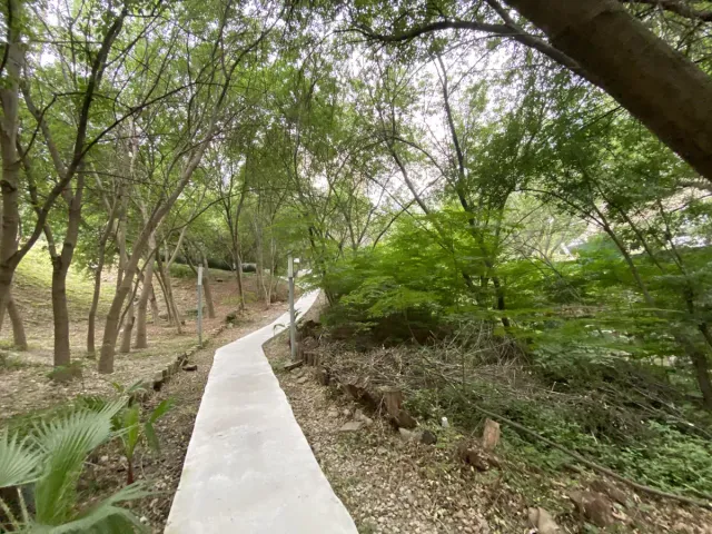 place photo 44