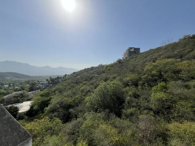 place photo 27