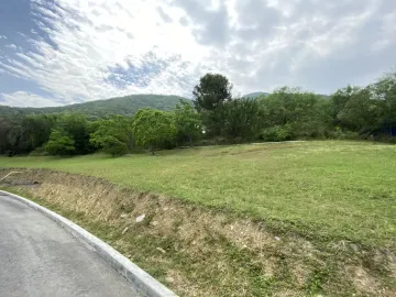 place photo 43