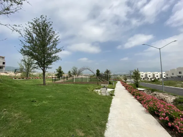 place photo 28