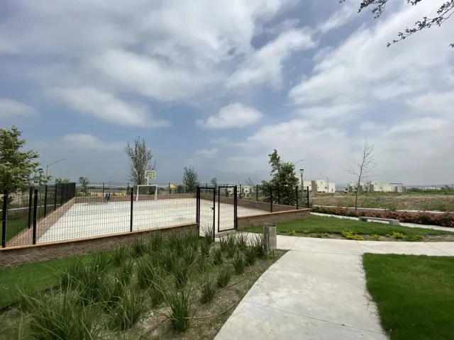 place photo 24