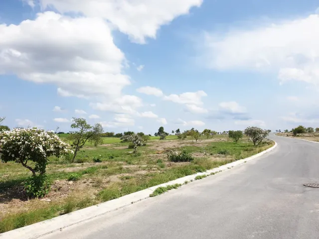 place photo 8