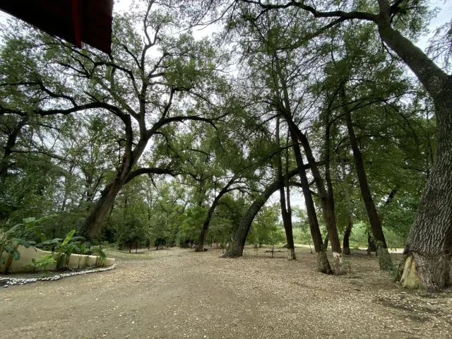 place photo 32