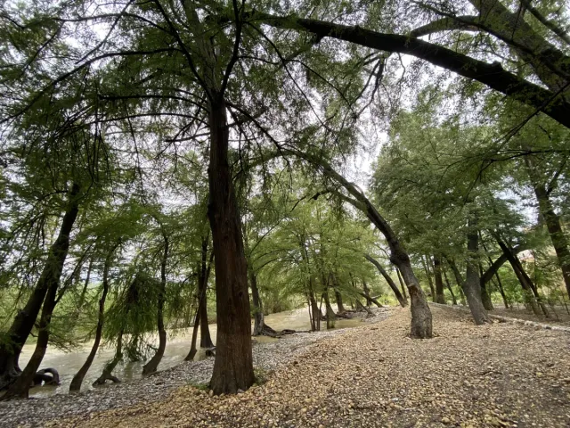 place photo 34