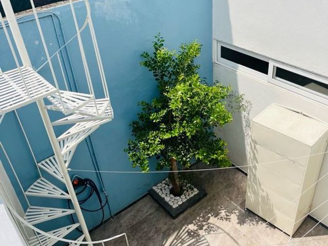 place photo 25