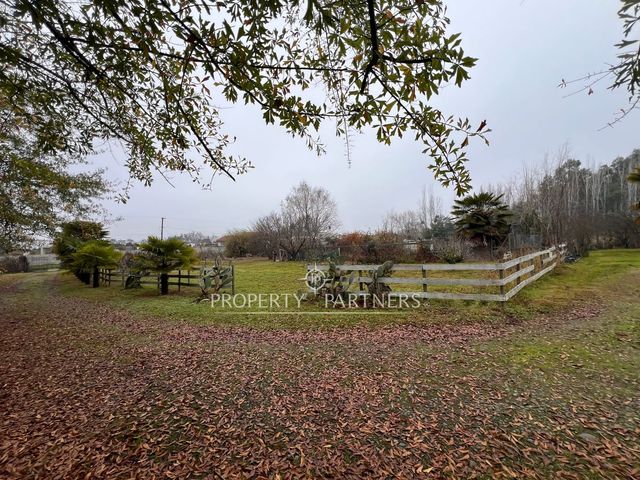 place photo 29