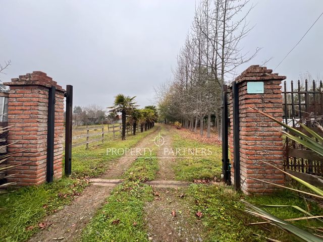 place photo 33