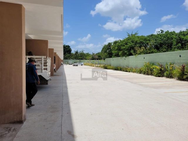 place photo 23