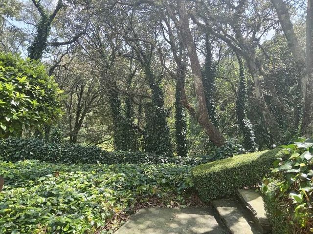 place photo 35