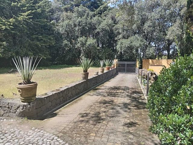 place photo 39