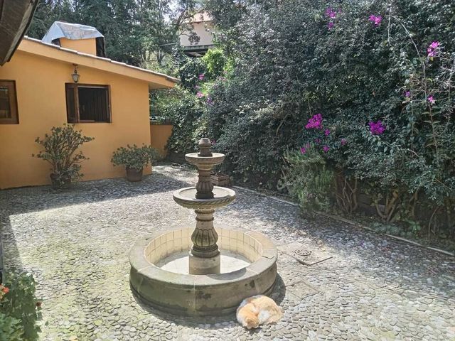 place photo 42