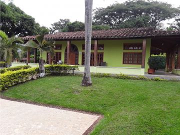 place photo 50