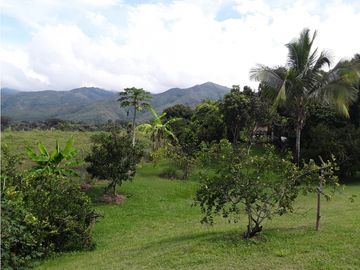 place photo 46