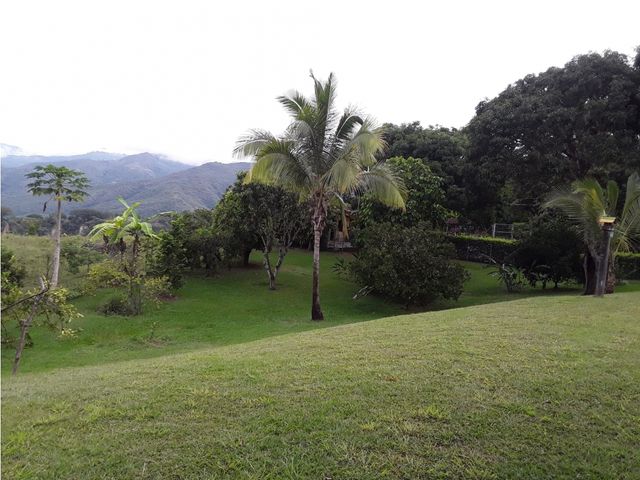 place photo 47