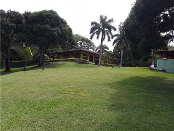 place photo 48