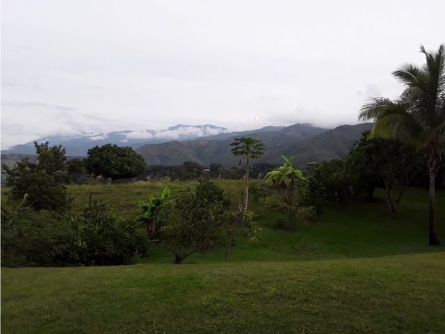 place photo 39