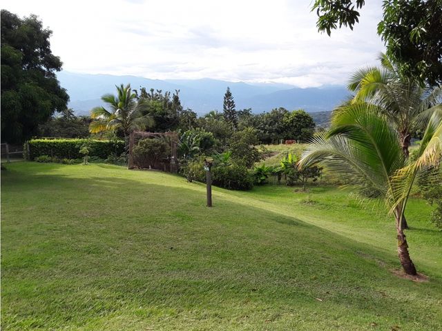 place photo 45