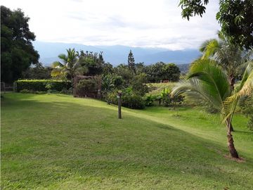 place photo 45