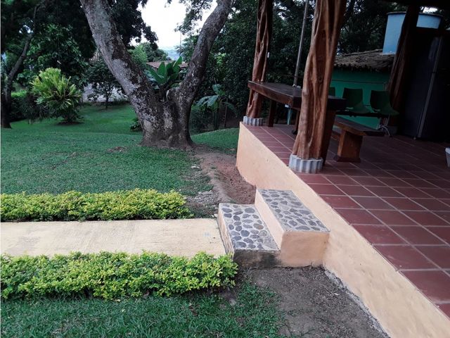 place photo 24