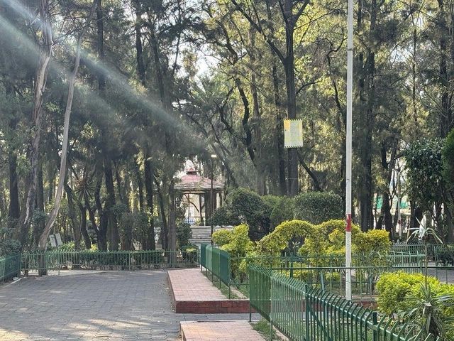 place photo 11