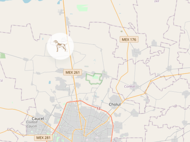 place photo 21
