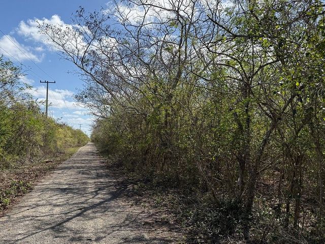 place photo 4