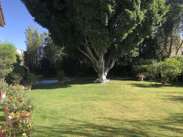 place photo 45