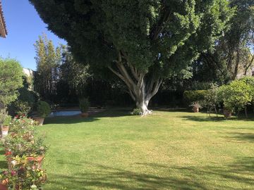 place photo 45