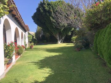 place photo 33