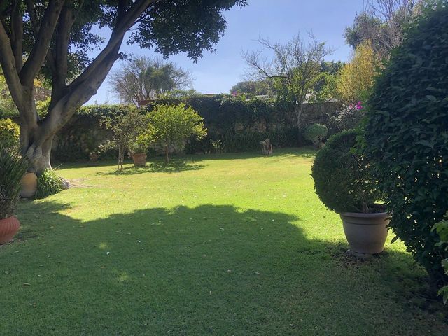 place photo 39
