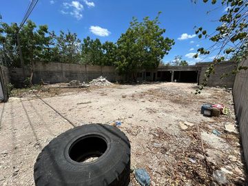 place photo 10