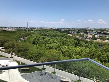 place photo 33