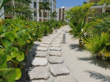 place photo 61