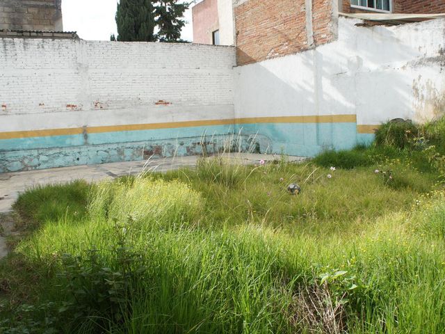 place photo 51