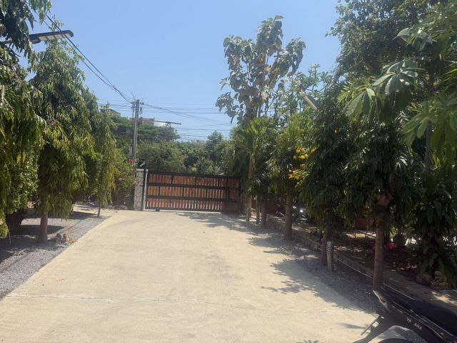 place photo 17