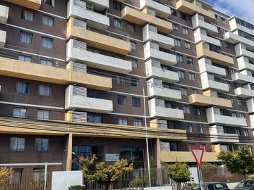 place photo 22