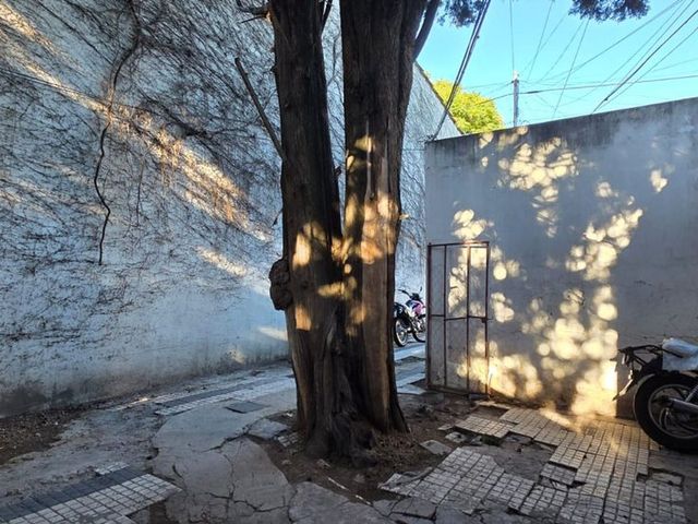 place photo 45