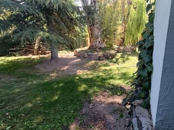 place photo 46