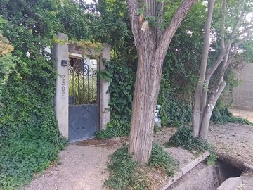 place photo 48