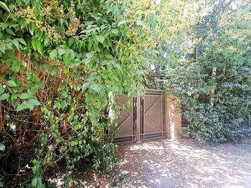 place photo 31