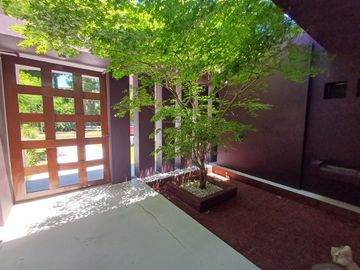 place photo 44