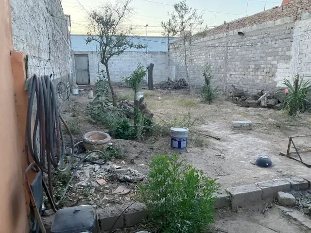 place photo 22